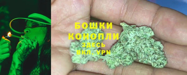 индика Лабытнанги