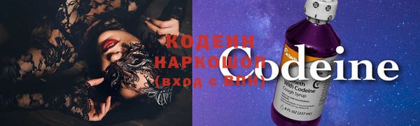 индика Лабытнанги