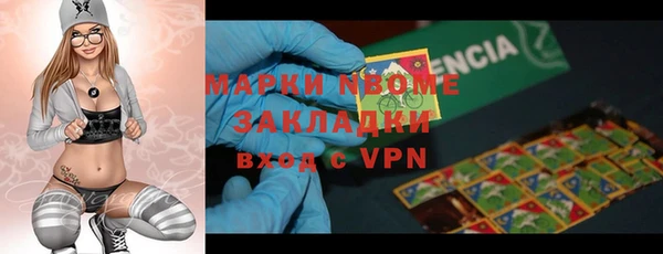 индика Лабытнанги