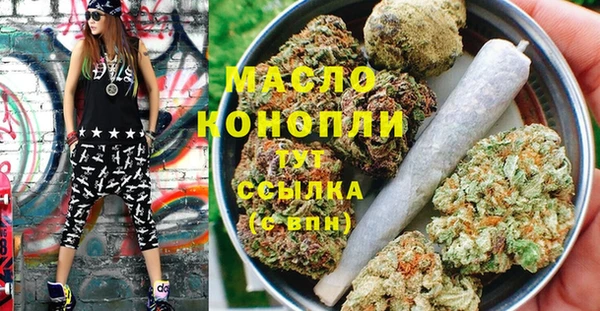 индика Лабытнанги