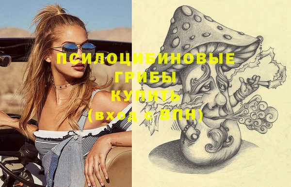 индика Лабытнанги
