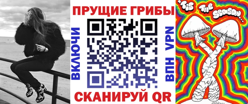 гидра ссылка  закладки  Гдов  Галлюциногенные грибы MAGIC MUSHROOMS 